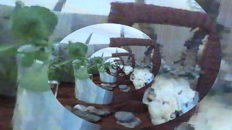 Webcam toy